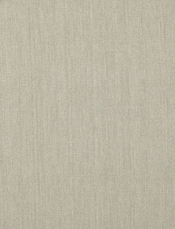 Contemporary Tan Brown Solid Rug, con210