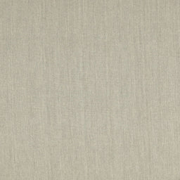 Square Contemporary Tan Brown Solid Rug, con210