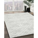 Machine Washable Contemporary Platinum Gray Rug in a Family Room, wshcon2112