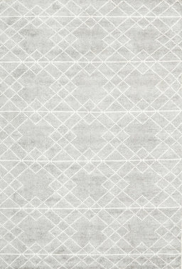 Contemporary Platinum Gray Modern Rug, con2112