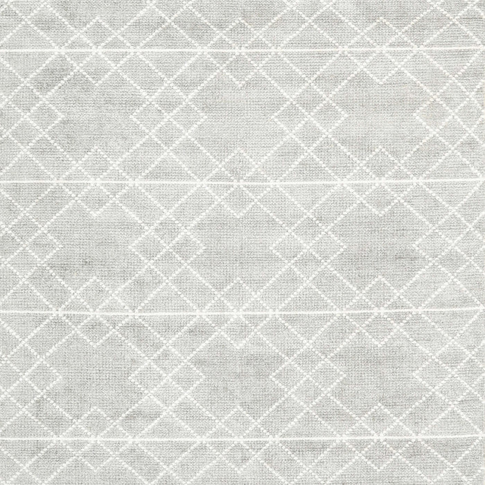 Contemporary Platinum Gray Modern Rug, con2112