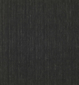 Contemporary Charcoal Black Modern Rug, con211