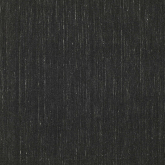 Contemporary Charcoal Black Modern Rug, con211