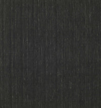 Machine Washable Contemporary Charcoal Black Rug, wshcon211