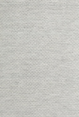 Contemporary Gunmetal Gray Modern Rug, con2120