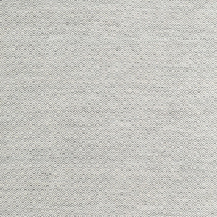 Contemporary Gunmetal Gray Modern Rug, con2120