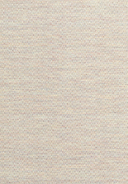 Contemporary Light French Beige Brown Solid Rug, con2121