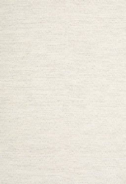 Contemporary Blonde Beige Solid Rug, con2123