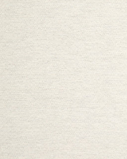 Contemporary Blonde Beige Solid Rug, con2137