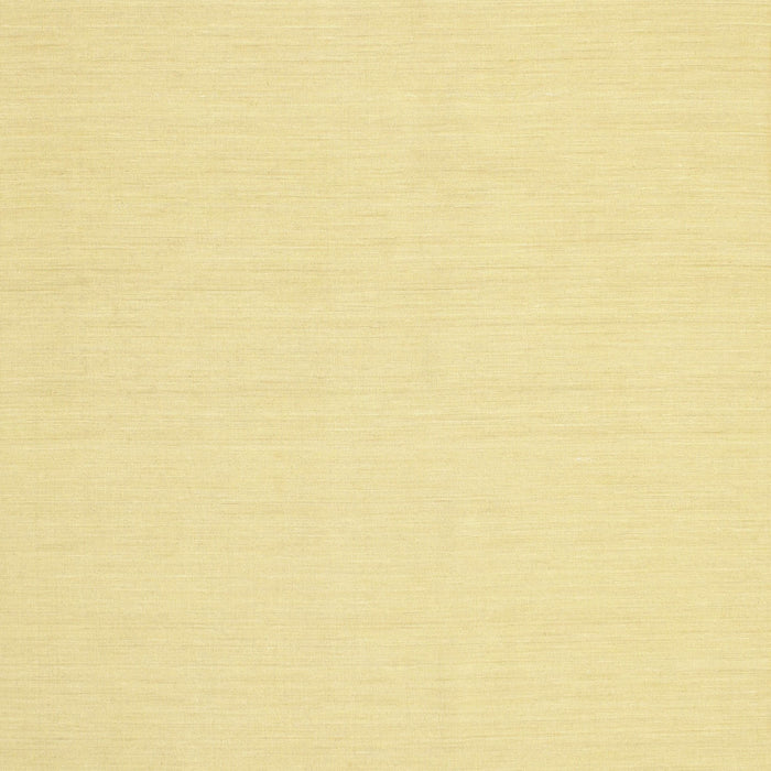 Contemporary Chrome Gold Yellow Modern Rug, con213