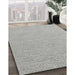 Contemporary Platinum Gray Modern Rug in Family Room, con2140