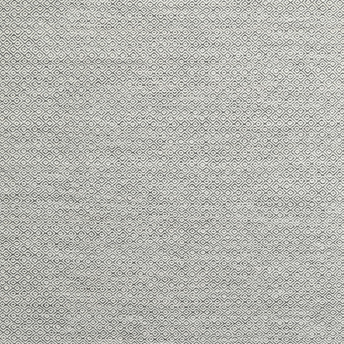 Machine Washable Contemporary Platinum Gray Rug, wshcon2140