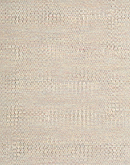 Contemporary Champagne Beige Solid Rug, con2141