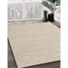 Machine Washable Contemporary Champagne Beige Rug in a Family Room, wshcon2141