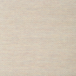 Square Contemporary Champagne Beige Solid Rug, con2141