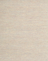 Machine Washable Contemporary Champagne Beige Rug, wshcon2141