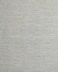 Machine Washable Contemporary Platinum Gray Rug, wshcon2147