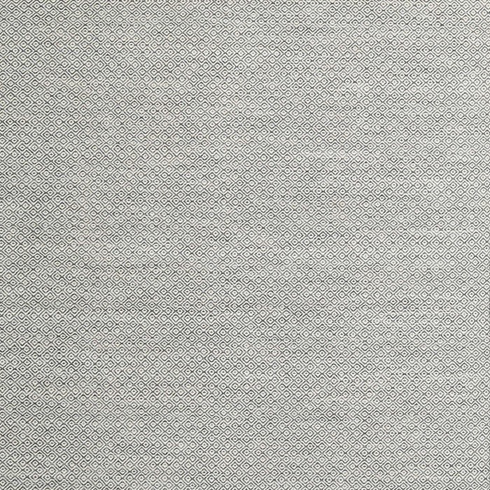 Machine Washable Contemporary Platinum Gray Rug, wshcon2147