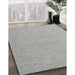 Contemporary Platinum Gray Modern Rug in Family Room, con2147