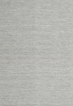 Contemporary Platinum Gray Modern Rug, con2148