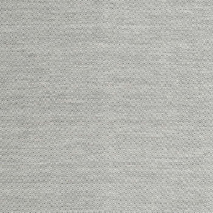 Contemporary Platinum Gray Modern Rug, con2148