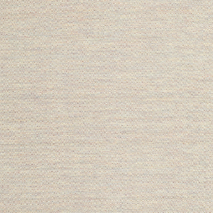 Contemporary Camel Brown Solid Rug, con2151