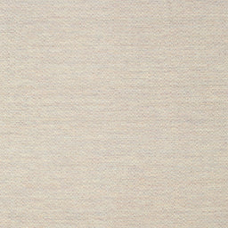 Sideview of Machine Washable Contemporary Camel Brown Rug, wshcon2151
