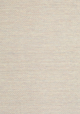 Machine Washable Contemporary Camel Brown Rug, wshcon2151