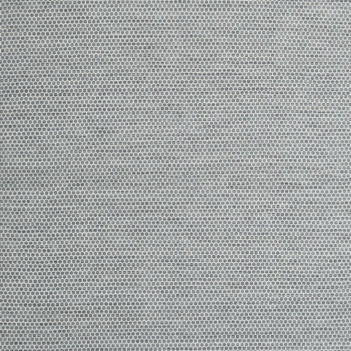Contemporary Platinum Silver Gray Modern Rug, con2153