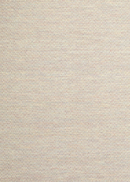 Contemporary Champagne Beige Solid Rug, con2160