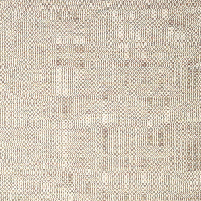 Sideview of Machine Washable Contemporary Champagne Beige Rug, wshcon2160