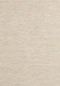 Machine Washable Contemporary Champagne Beige Rug, wshcon2167