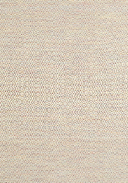 Contemporary Champagne Beige Solid Rug, con2167