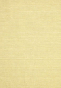 Contemporary Chrome Gold Yellow Modern Rug, con217