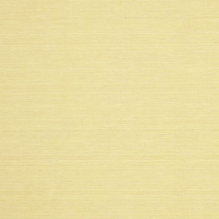 Contemporary Chrome Gold Yellow Modern Rug, con217