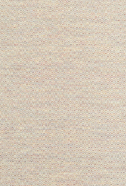 Contemporary Champagne Beige Solid Rug, con2183