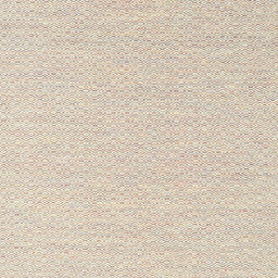 Square Contemporary Champagne Beige Solid Rug, con2183