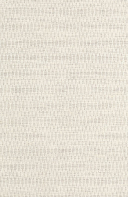 Contemporary Beige Solid Rug, con2187