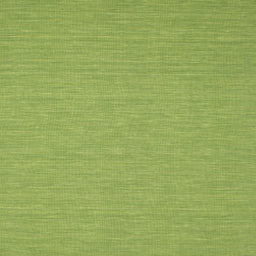 Sideview of Machine Washable Contemporary Pistachio Green Rug, wshcon219