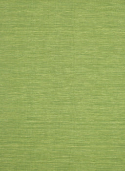 Contemporary Pistachio Green Modern Rug, con219