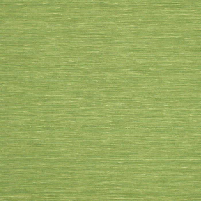 Contemporary Pistachio Green Modern Rug, con219