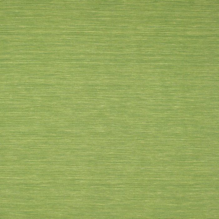 Square Contemporary Pistachio Green Modern Rug, con219