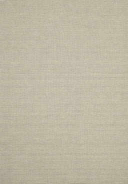 Contemporary Tan Brown Solid Rug, con220