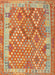 Contemporary Orange Red Oriental Rug, con2212