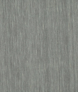 Contemporary Silver Gray Modern Rug, con221
