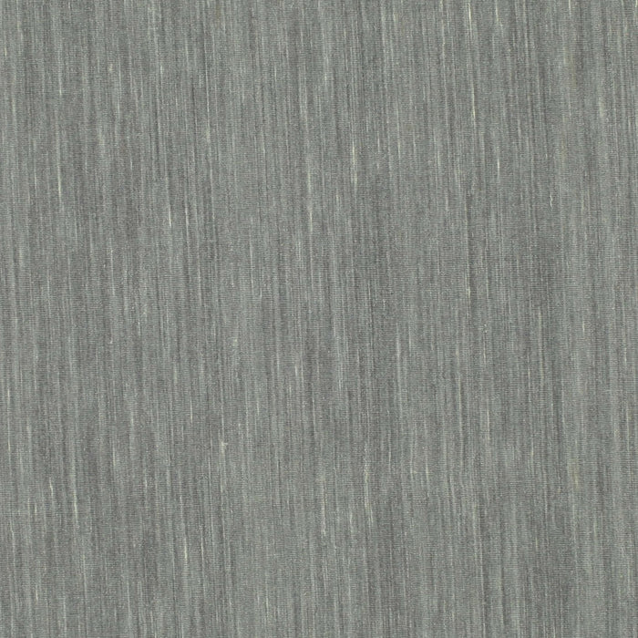 Contemporary Silver Gray Modern Rug, con221