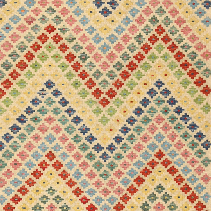 Contemporary Copper Brown Modern Rug, con2222