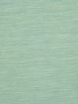 Contemporary Light Green Modern Rug, con222