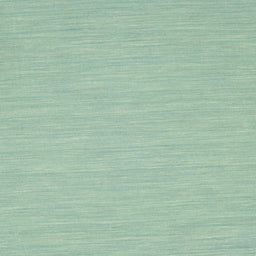 Sideview of Machine Washable Contemporary Light Green Rug, wshcon222