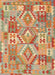 Contemporary Orange Southwestern Rug, con2231